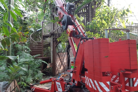 Climbing in the Jungola