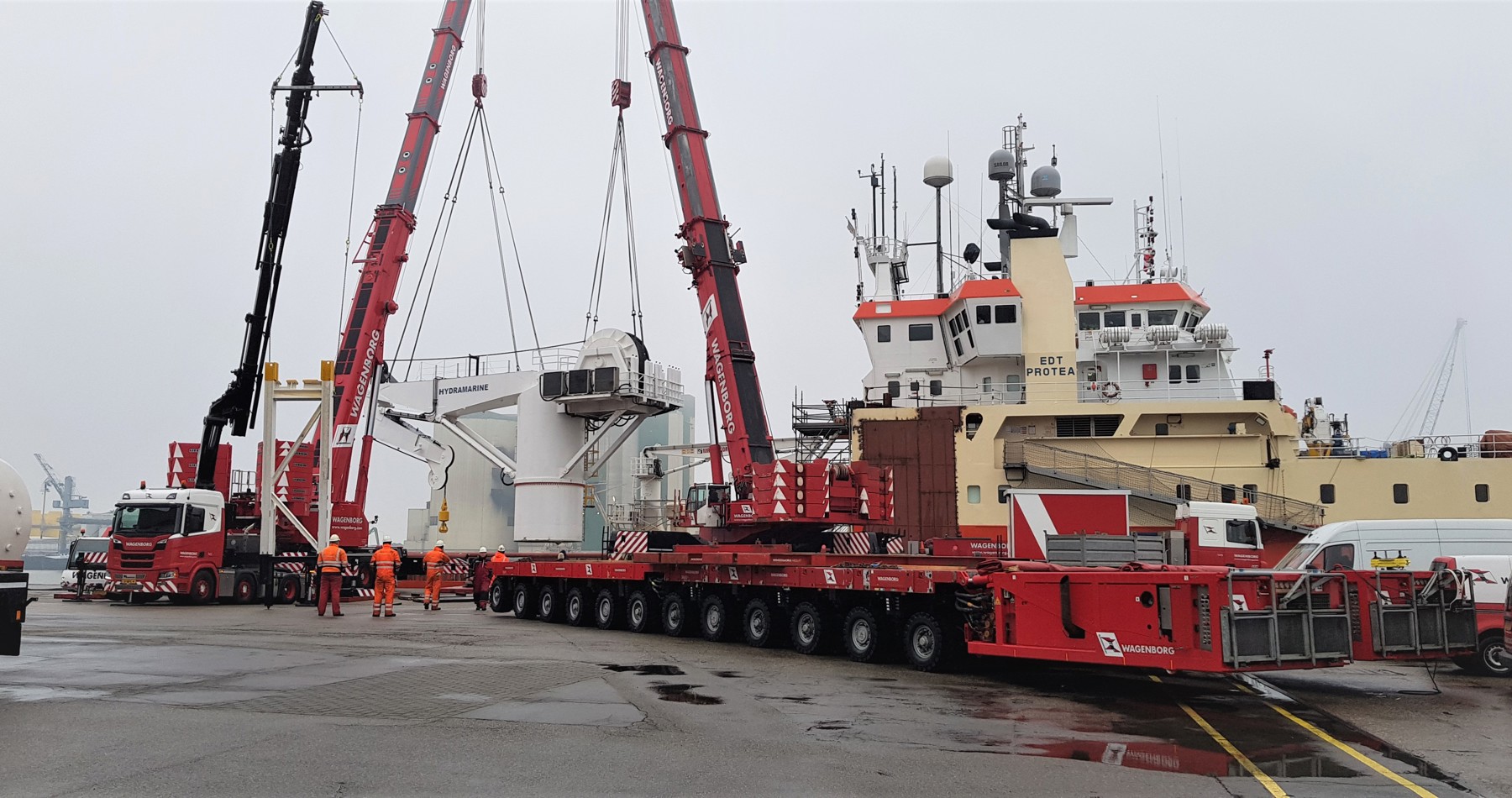 Metamorphosis of the EDT Protea vessel
