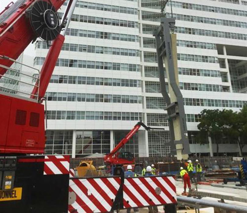 Img 0036 Medium Large